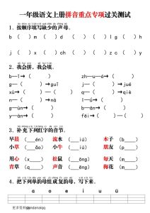 一年级语文上册拼音重点专项过关测试-五车芝士