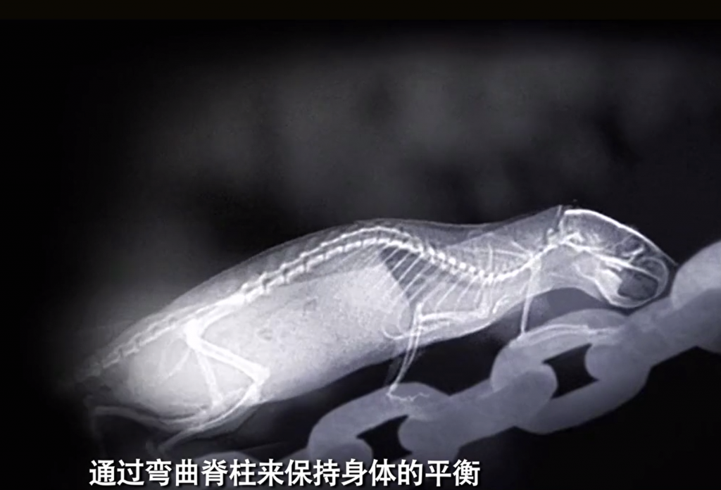 人类可见光“之外的世界”（共计6节课）-夸克网盘资源专区社区-会员资源专享-五车芝士